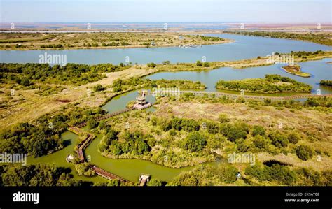 Dongying Yellow River Estuary National Wetland Park - A Breathtaking Oasis of Biodiversity and Natural Beauty!