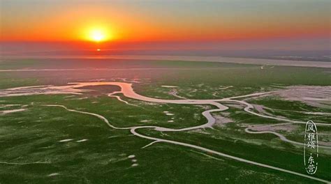 Dongying Yellow River Estuary Wetland Park a Haven for Wildlife and Scenic Beauty!