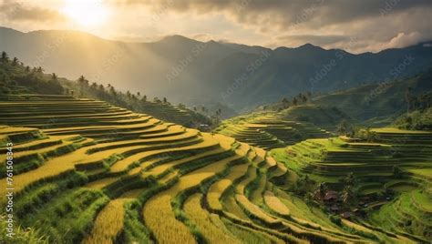  Longji Rice Terraces: A Testament to Human Ingenuity and Breathtaking Beauty!